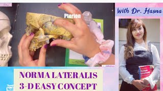 Norma Lateralis in 3-D | Temporal Bone | Mastoid Process