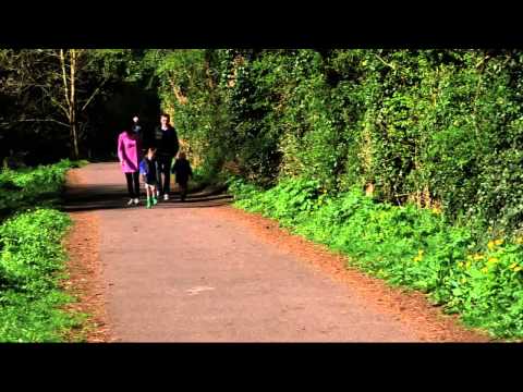 Are shared use paths safe?