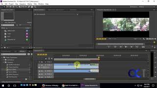 Adding a Fade Out\Fade to Black Effect in Adobe Premiere
