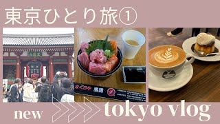 【東京ひとり旅①】築地場外市場/食べ歩き/築地本願寺/浅草寺/カフェ/ひとり旅/アラフィフ/50代/Vlog