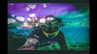 Flog 23 // RAROTONGA