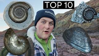 Top 10 Fossil Finds