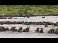 Win Tanzania Safaris