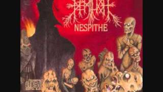 Demilich - The Putrefying Road in the Nineteenth Extremity