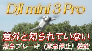 DJI MINI 3 Proの意外と知られていない凄い緊急ﾌﾞﾚｰｷ、緊急停止