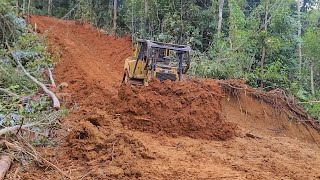 Bulldozer CAT Opening Pedestrian's New Path to the Jungle a Day Job