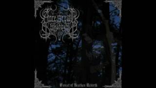 Ancestral Shadows - Forest of Heathen Rebirth