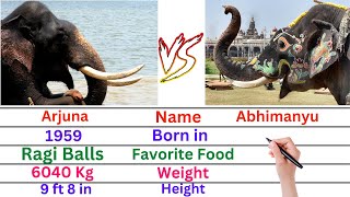 Comparison: Arjuna Elephant versus Abhimanyu Elephant | Dasara Elephants Arjuna \u0026 Abhimanyu