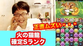 低レア度でSランク【火の猫龍】ヘラウルズ×赤ソニアPT　無課金　パズドラ　じゃじゃーん菊池