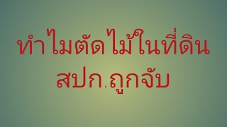 ทำไมตัดไม้ในที่ดินสปกถูกจับ