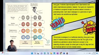 VET ENDO | Endocrinology of the Male \u0026 Spermatogenesis | Chapter 10 (Senger)