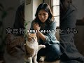 やっちゃダメ！猫に嫌われる事３選　 shorts ショート　 猫好きさんと繋がりたい