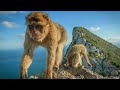 What On Earth Is Gibraltar (UK Overseas Territory)