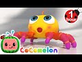 Itsy Bitsy Spider | CoComelon Animal Time - Learning with Animals | Nursery Rhymes for Kids