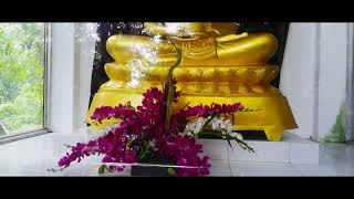 Nachchimale Tour (Sri Lanka) #Mobile Videography