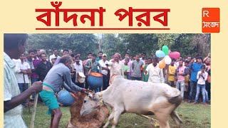 Bandna Parab l বাঁদনা পরব পুরুলিয়া l Purulia Bandna Parab l Rangmati Sangbad