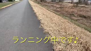 常願寺川をランニング様子