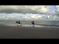 heerlijk zo de vrijheid op het strand