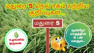 மதுரை 5 நெல் ரகம் பற்றிய குறிப்புகள்(MDU-5)..