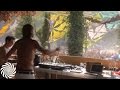 DJ Tristan Live at Ozora Festival 2015