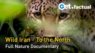 Wild Iran - To the North | Full Nature Documentary - Part 2