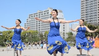 Ha'a Hula　Na Makale'a O Ka Ua Kilihune　LOCO MOCO SUNSET FEEL THE MANA 2016