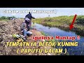 Spot Mancing Mantap Betok Kuning/papayu Galam & Kepar || Mantangai (Sawit Global ) #a86Fishing