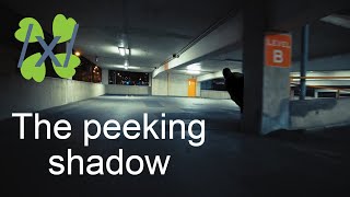 Story from the Community - The peeking shadow (VIDEO FOOTAGE)