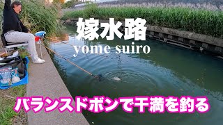 【ヘラブナ釣り】良型へらを狙う嫁水路