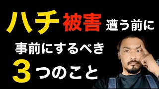 【蜂対策】刺されてからでは遅い！被害に遭う前にするべき３つのこと