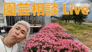 毎週木曜は園芸相談！ちょっとだけ発表もあるよ！ラジオの同時配信です！