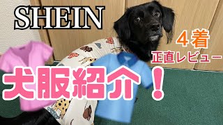 【犬服】SHEIN犬服レビュー#shein #購入品 #正直レビュー #dog #犬のいる暮らし #おすすめ #犬服#癒し #ミックス犬