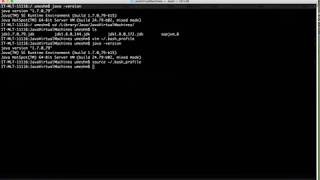 How to manage multiple Java versions - MAC/linux