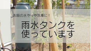 雨水も有効活用しよう！災害時にも役に立つ、雨水タンクをお庭に設置してみた