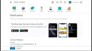 How to enable Notifications (Brightspace)