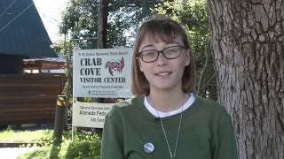 Alamedans Speak Out To Save Crab Cove - Vote YES on B - No on A