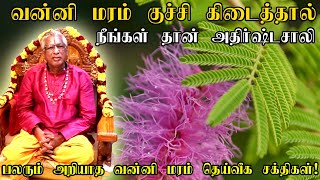 வன்னி மரம் கேட்டது கிடைக்கும் | வன்னி குச்சி கிடைத்தால் நீங்கள் அதிர்ஷ்டசாலி | vanni maram in tamil