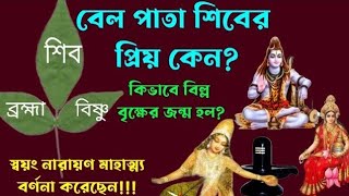 বেলগাছের জন্ম কিভাবে হল? বেলপাতা শিবের এত প্রিয় কেন?