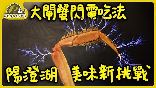 [Hedgehog Gang Lens Diary] Authentic Yangcheng Lake Hairy Crabs vs. Tesla Coils