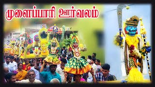 முளைப்பாரி ஊர்வலம் - முத்தாலம்மன் கோவில் திருவிழா-சுருளிப்பட்டி - 14-11-2024