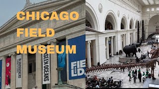 Inside The Chicago Field Museum