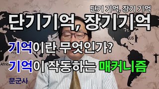 단기 기억, 장기 기억 - 기억이란 무엇인가? 기억이 작동하는 매커니즘