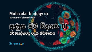 Molecular biology 01|අණුක ජීව විද්‍යාව 01