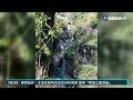 竹山天梯重開 知名景觀遭雜草淹沒｜華視新聞 20211109