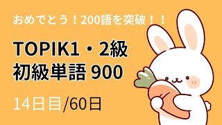 【韓国語1日15語】復習で確実に覚えるTOPIK1・2級の初級単語900～14日目～