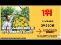 홍매실 2023년 잘나가는 알려드려요 추천순위 top10