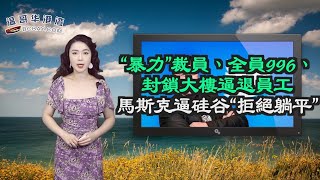 暴力裁员、全员996、封锁大楼逼退员工，马斯克逼硅谷拒绝躺平；加拿大牙科福利金来了！家庭收入9万以下都有份！BC短租房1年平均能赚这么多？当然规矩也多（《港湾播报》20221118-1 CZCC）