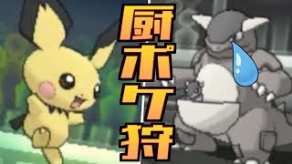 【神回】ピチュー入り進化前PTでまさかの３タテを決める男【ポケモンUSUM/リトルバスターズ】