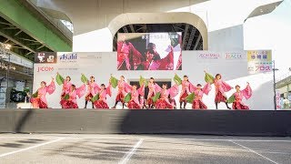 [4K] 京炎 そでふれ！京躍華　ゑぇじゃないか祭り 2018　本祭 メイン会場