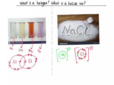 Which are halides?